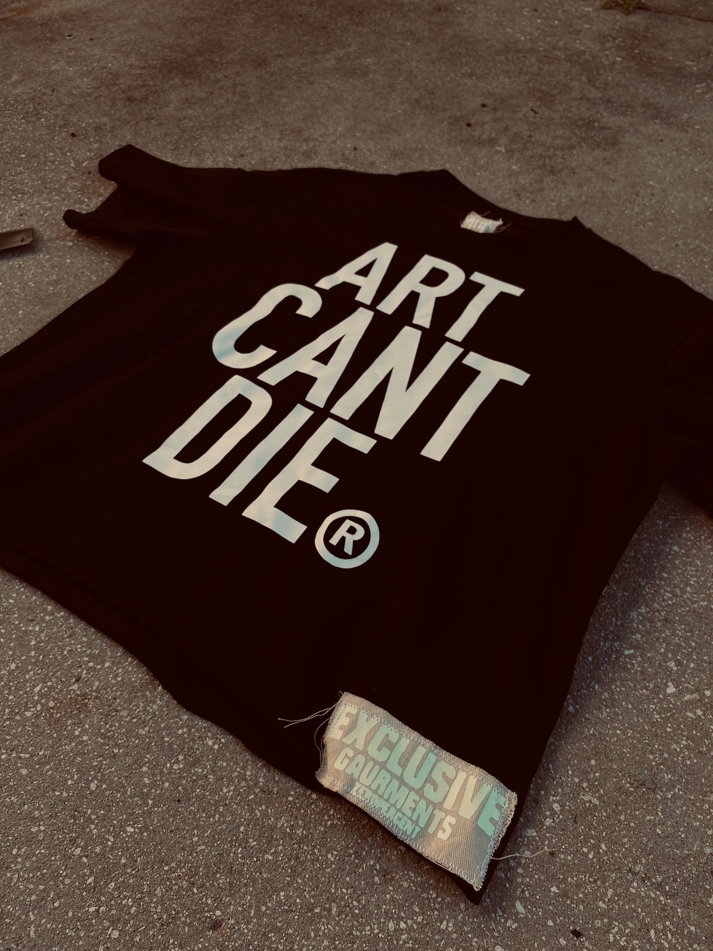 Heavyweight “Art Cant Die” Crop Tee